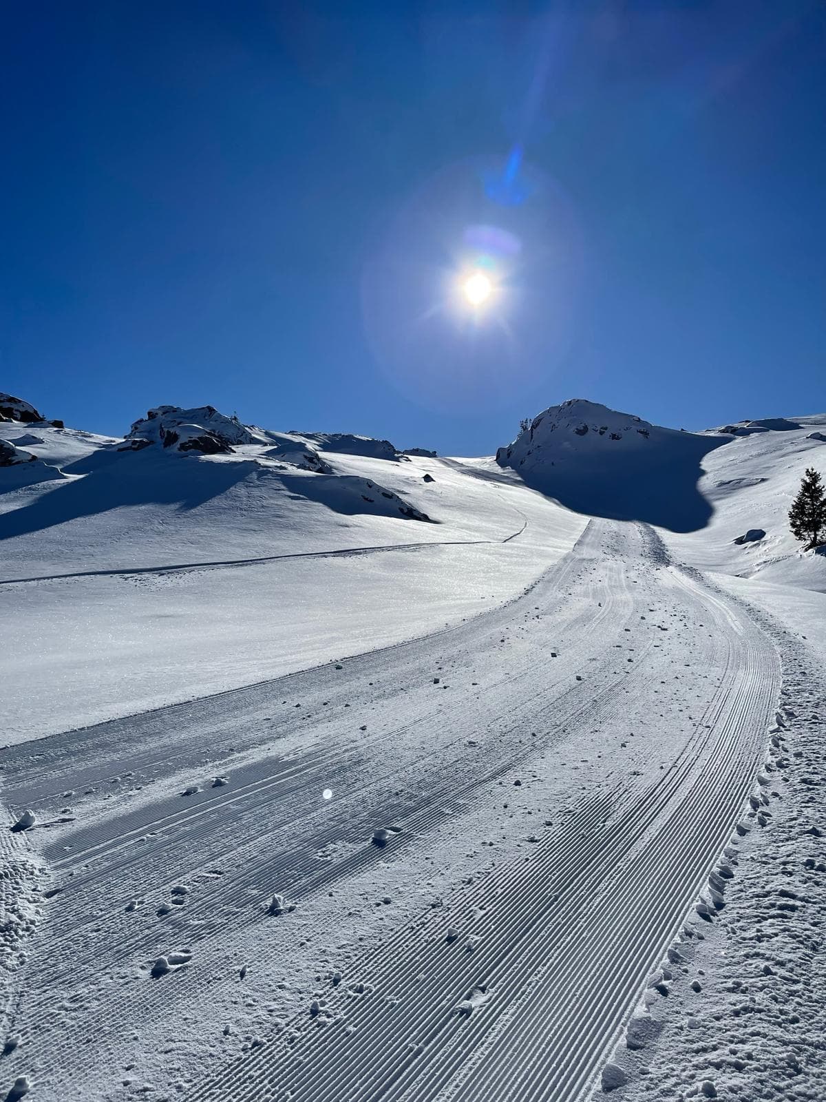 WhatsApp Image 2025-12-05 at 18.20.29