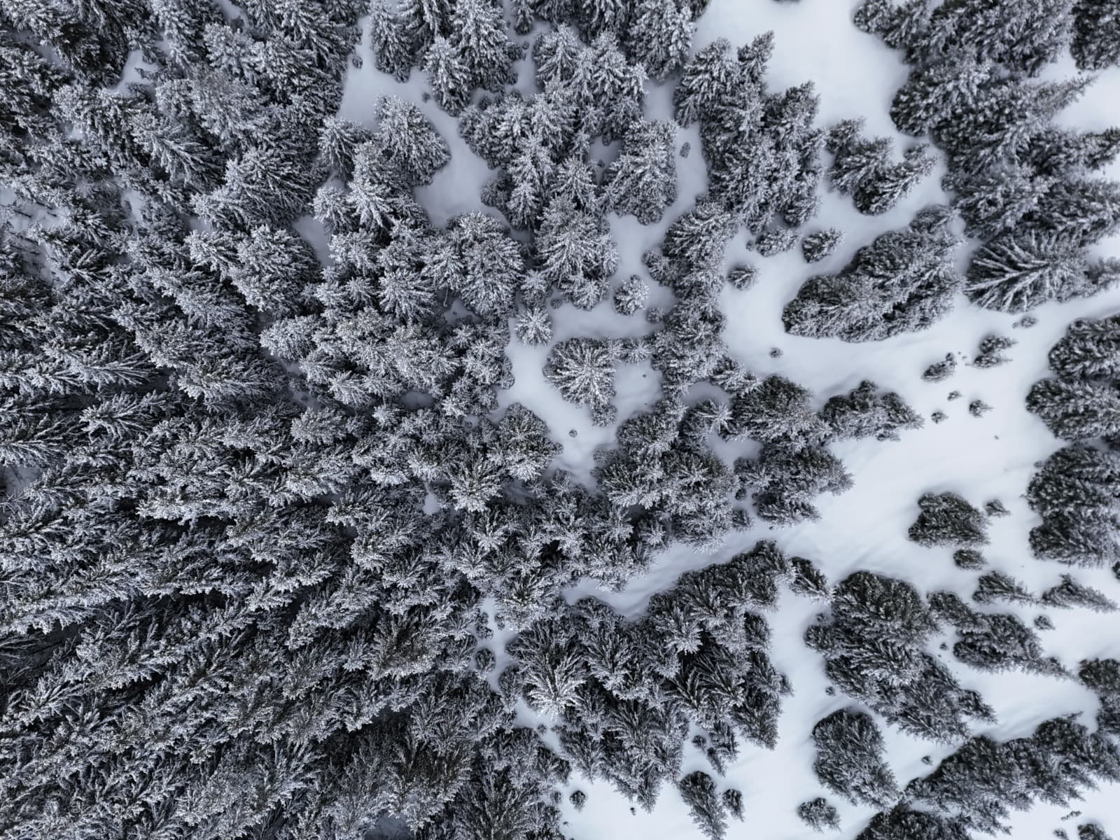 WhatsApp Image 2025-12-09 at 23.02.57-4